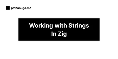 Contains the title of the post: Zig and Strings: A Chill Guide