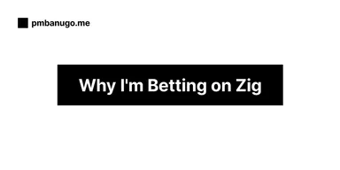 Contains the title of the post: The Road Ahead: Why I'm Going All-In on Zig